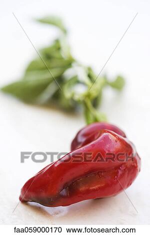 Stock Image - Fresh chili pepper. Fotosearch