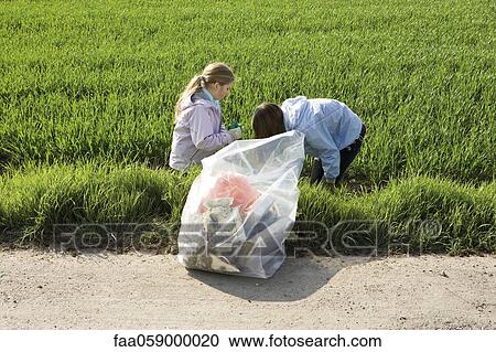 Girls picking up roadside litter View Large Photo Image Stock Image - Girls picking up roadside litter. Fotosearch