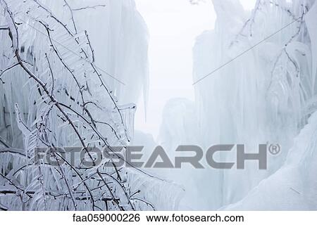 Stock Photograph - Ice-covered braches in winter landscape. Fotosearch