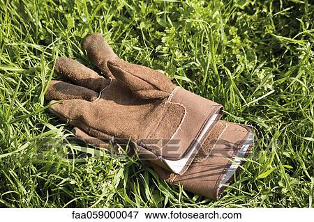 Pair of gardening gloves on grass View Large Photo Image Stock Photo - Pair of gardening gloves on grass. Fotosearch