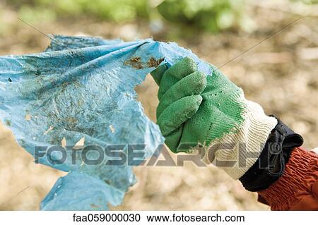 Picking up litter View Large Photo Image Stock Image - Picking up litter. Fotosearch
