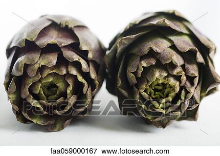Purple artichokes View Large Photo Image Stock Photo - Purple artichokes. Fotosearch