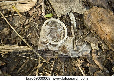 Stock Photo - Used condom on the ground. Fotosearch