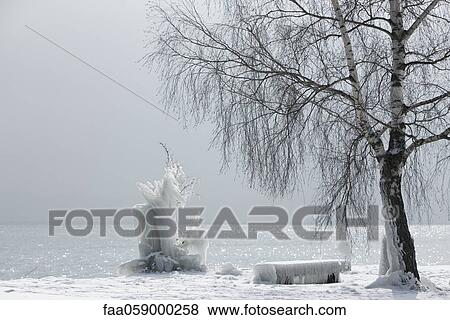 Water's edge in winter View Large Photo Image Stock Photo - Water's edge in winter. Fotosearch