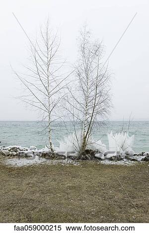 Stock Photography - Water's edge in winter. Fotosearch