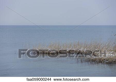 Picture - Wintery lake scene. Fotosearch