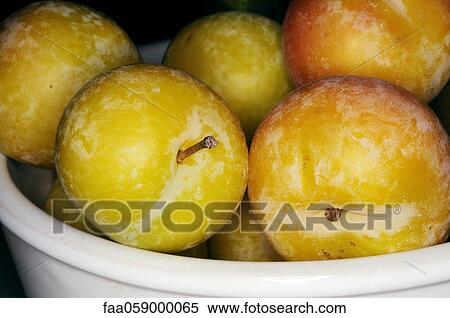 Yellow plums in bowl View Large Photo Image Stock Photography - Yellow plums in bowl. Fotosearch