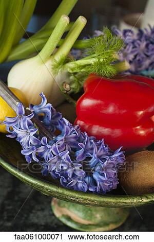 Assorted vegetables and fruits with freshly cut hyacinth View Large Photo Image Stock Image - Assorted vegetables and fruits with freshly cut hyacinth. Fotosearch