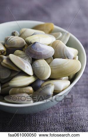 Bowl of fresh clams View Large Photo Image Stock Image - Bowl of fresh clams. Fotosearch
