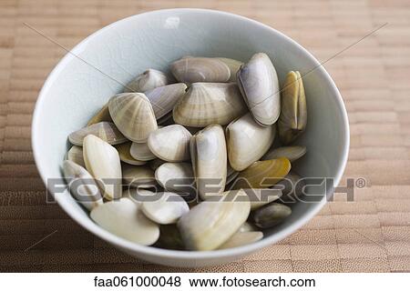 Bowl of fresh clams View Large Photo Image Stock Photo - Bowl of fresh clams. Fotosearch