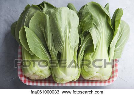 Fresh bok choy View Large Photo Image Stock Image - Fresh bok choy. Fotosearch