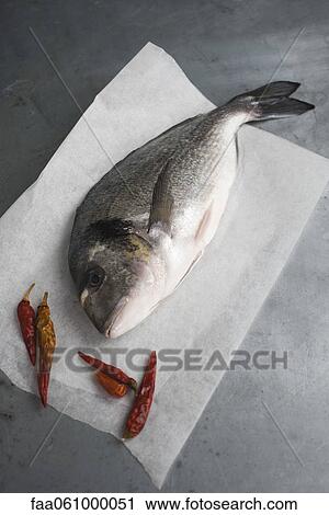 Fresh bream with red chili peppers View Large Photo Image Stock Image - Fresh bream with red chili peppers. Fotosearch