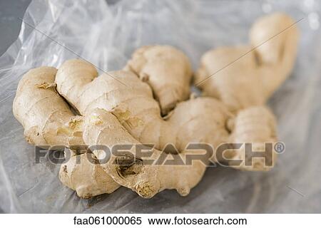Fresh ginger root View Large Photo Image Stock Photography - Fresh ginger root. Fotosearch