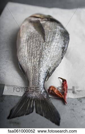 Fresh whole bream with red chili peppers View Large Photo Image Stock Image - Fresh whole bream with red chili peppers. Fotosearch
