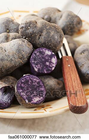 Stock Photo - Purple potatoes. Fotosearch