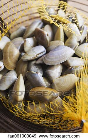 Sack of fresh clams View Large Photo Image Stock Photo - Sack of fresh clams. Fotosearch