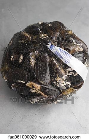 Sack of fresh mussels View Large Photo Image Stock Photo - Sack of fresh mussels. Fotosearch