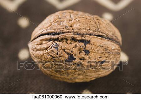 Walnut View Large Photo Image Stock Image - Walnut. Fotosearch