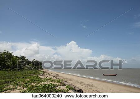 Stock Image - Beach scene, Amazonia, French Guiana, South America. Fotosearch