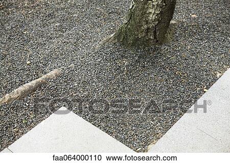 Stock Image - Gravel at base of tree. Fotosearch