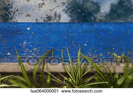 Plants growing along painted wall View Large Photo Image Stock Image - Plants growing along painted wall. Fotosearch