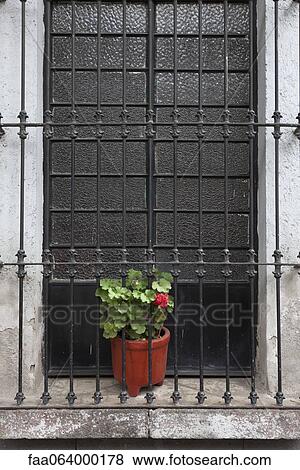 Potted geranium in barred windowsill View Large Photo Image Stock Photo - Potted geranium in barred windowsill. Fotosearch