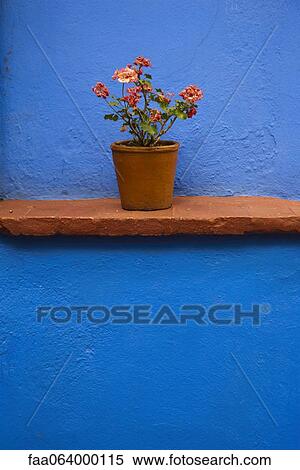 Potted geranium on ledge View Large Photo Image Stock Photography - Potted geranium on ledge. Fotosearch