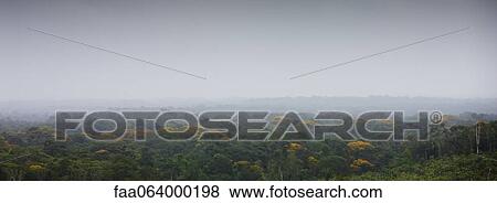 South America, Amazon Rainforest View Large Photo Image Stock Photo - South America, Amazon Rainforest. Fotosearch