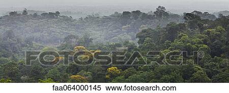 South America, Amazon Rainforest View Large Photo Image Stock Photography - South America, Amazon Rainforest. Fotosearch