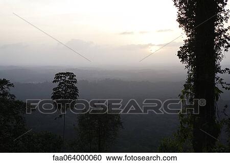 Sun rising over tropical rainforest View Large Photo Image Stock Image - Sun rising over tropical rainforest. Fotosearch