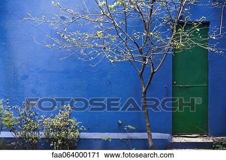 Tree growing in courtyard View Large Photo Image Stock Image - Tree growing in courtyard. Fotosearch