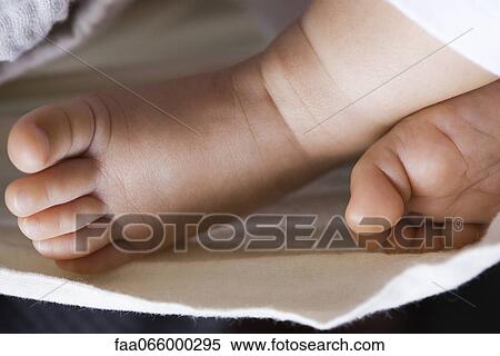 Baby's feet, close-up View Large Photo Image Stock Photography - Baby's feet, close-up. Fotosearch
