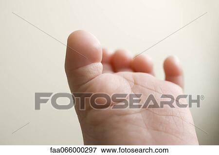 Stock Photo - Baby's foot. Fotosearch