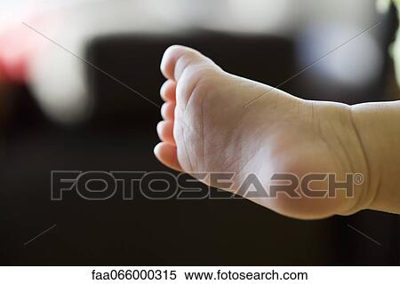 Baby's foot View Large Photo Image Stock Photography - Baby's foot. Fotosearch