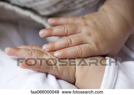 Baby's hands View Large Photo Image Stock Photo - Baby's hands. Fotosearch