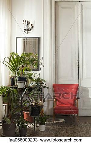 Potted house plants and chair in home interior View Large Photo Image Stock Image - Potted house plants and chair in home interior. Fotosearch