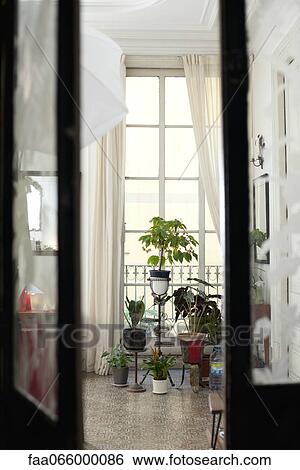 Potted house plants viewed through doorway View Large Photo Image Stock Photograph - Potted house plants viewed through doorway. Fotosearch