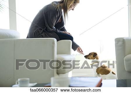 Stock Photo - Woman letting dog sniff her hand. Fotosearch