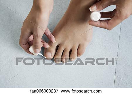 Woman polishing her toenails, cropped View Large Photo Image Stock Photo - Woman polishing her toenails, cropped. Fotosearch