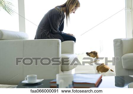 Woman relaxing in living room with dog View Large Photo Image Stock Image - Woman relaxing in living room with dog. Fotosearch