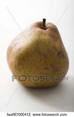 Anjou pear View Large Photo Image Stock Image - Anjou pear. Fotosearch