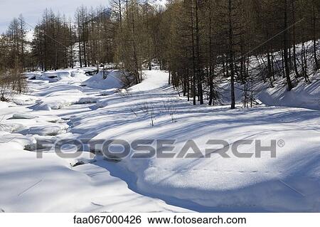 Bare trees in snowy landscape View Large Photo Image Stock Photograph - Bare trees in snowy landscape. Fotosearch