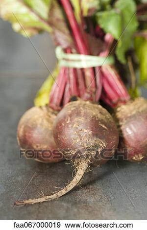 Beetroots View Large Photo Image Stock Photo - Beetroots. Fotosearch