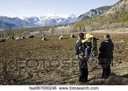 Stock Photograph - Family hiking together, looking at cows in mountain pasture. Fotosearch