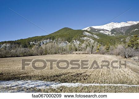 Stock Photo - Field with snow-capped mountain in background. Fotosearch