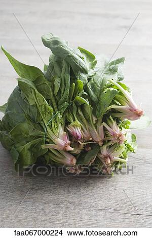 Picture - Fresh spinach. Fotosearch