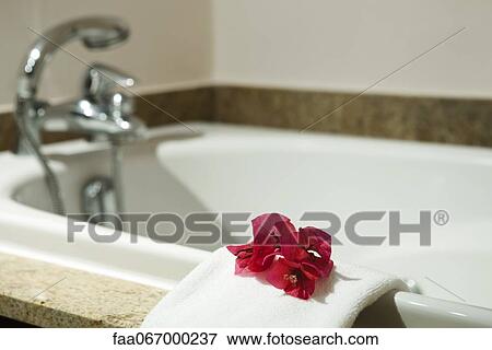 Fresh towel decorated with flower heads handing on edge of bathtub View Large Photo Image Stock Photo - Fresh towel decorated with flower heads handing on edge of bathtub. Fotosearch