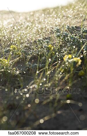 Grassy hill View Large Photo Image Stock Photo - Grassy hill. Fotosearch