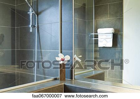 Hibiscus flower in vase in shower room View Large Photo Image Stock Photo - Hibiscus flower in vase in shower room. Fotosearch