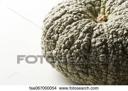 Hubbard squash, cropped View Large Photo Image Picture - Hubbard squash, cropped. Fotosearch